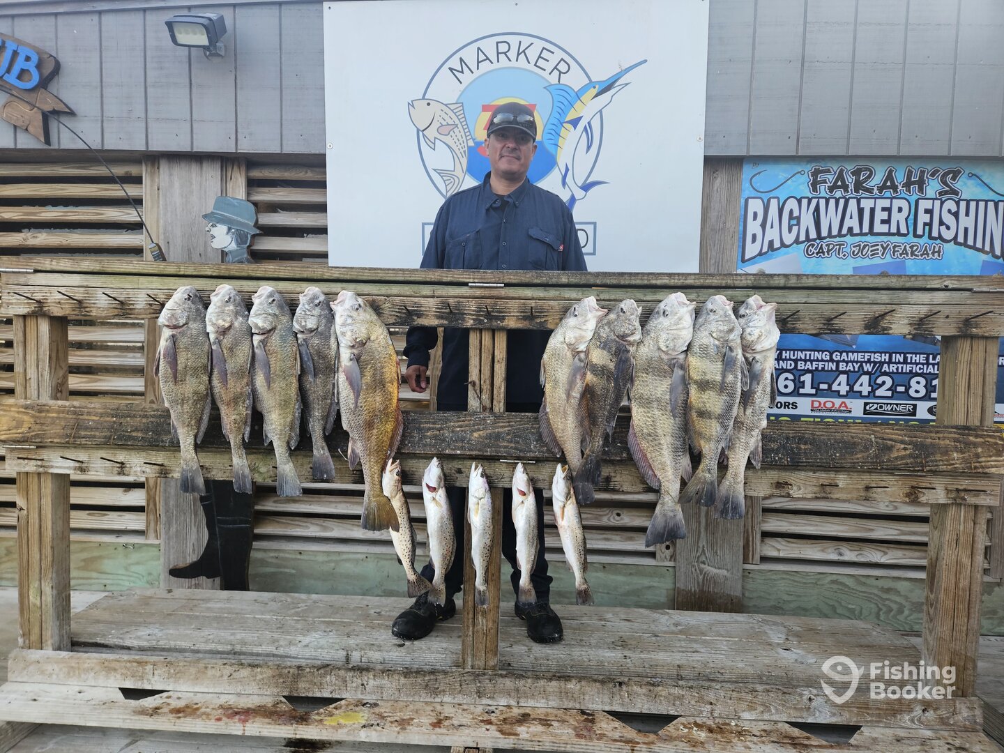 Corpus Christi Report Photo 0