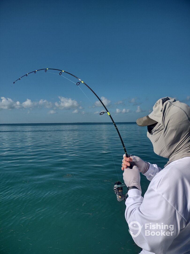 Yankeetown Report Photo 0