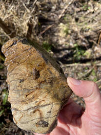 One day before the open season