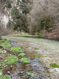 Piedipaterno Report Photo 2