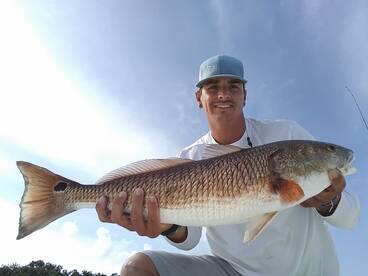 West Palm Beach Report Photo 2