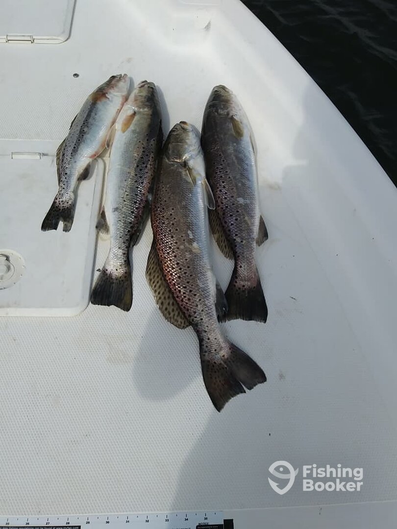 West Palm Beach Report Photo 0