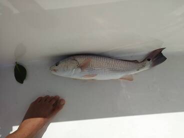 West Palm Beach Report Photo 2