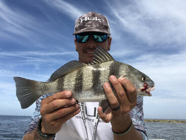 West Palm Beach Report Photo 2