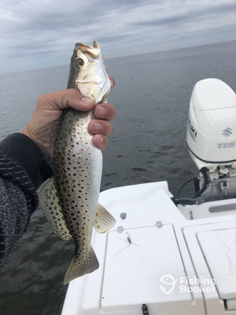 West Palm Beach Report Photo 0