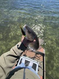 Tampa Report Photo 2