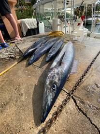 Puerto Aventuras Report Photo 2