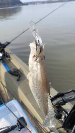 Harrison Report Photo 1