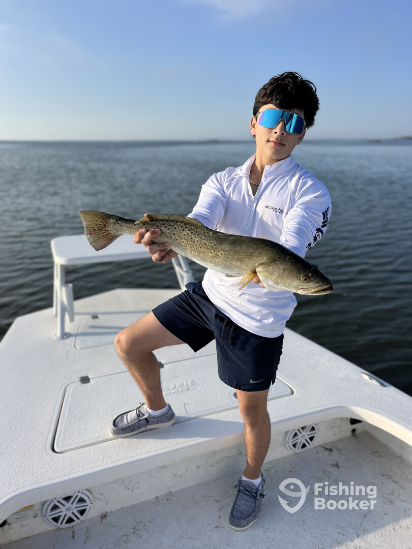 South Padre Island Report Photo 0