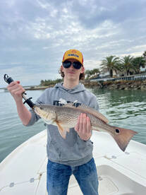 Palm Coast Report Photo 1