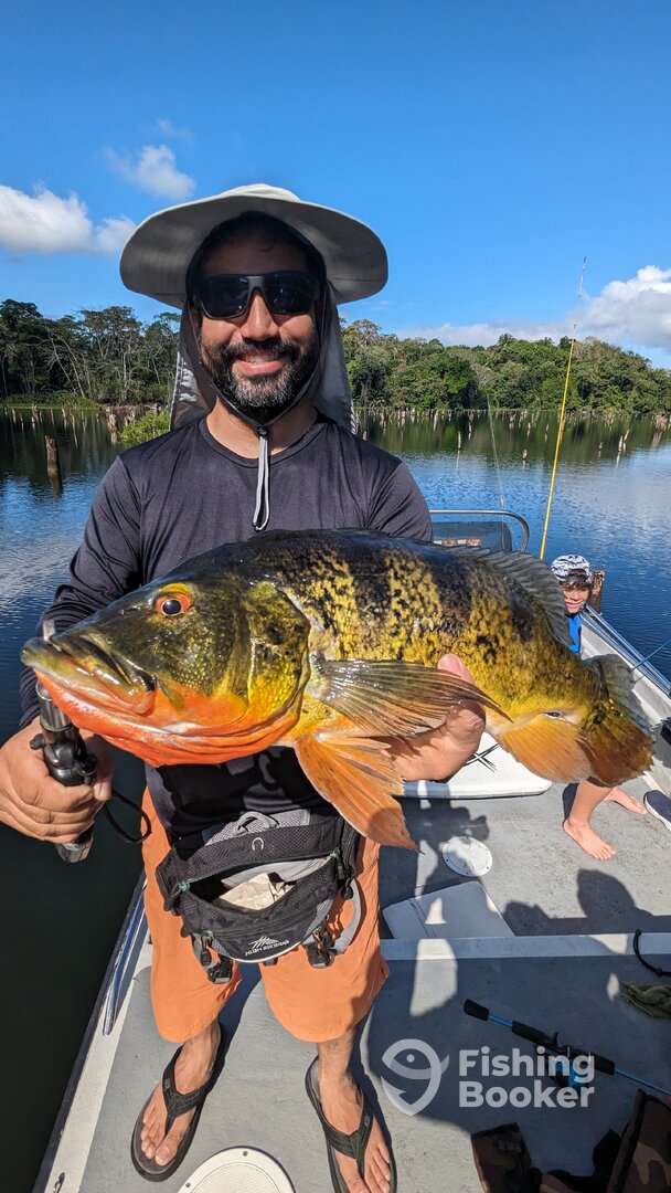 Gamboa Report Photo 0