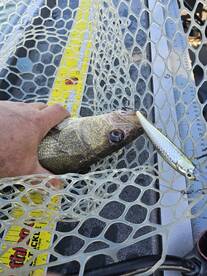 Lakeside Marblehead Report Photo 1