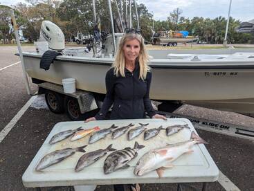 Bay Pines Report Photo 1