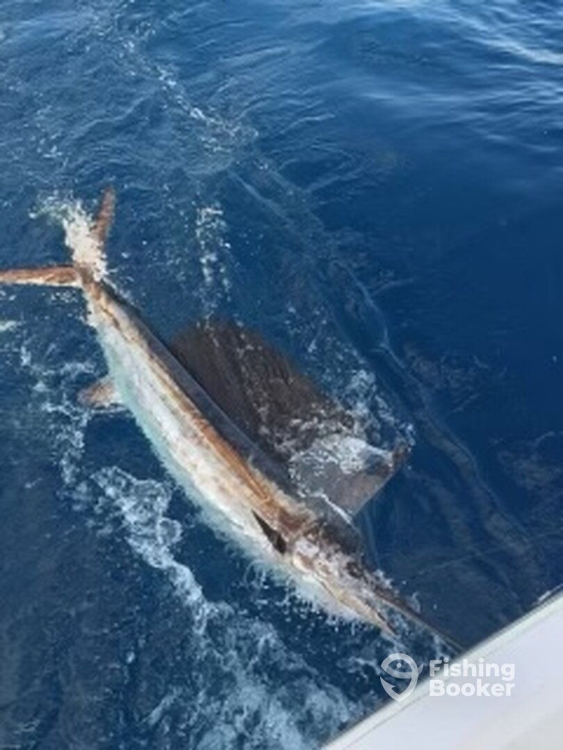 Boynton Beach Report Photo 0