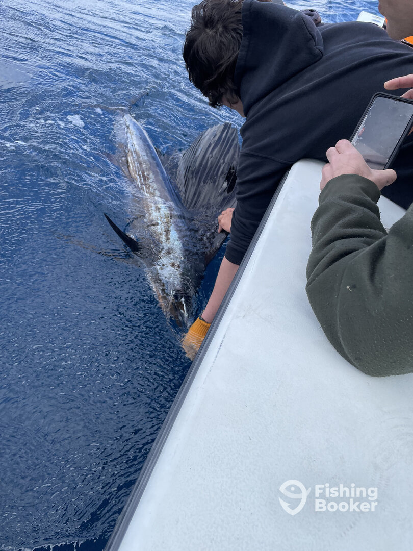 Dania Beach Report Photo 0