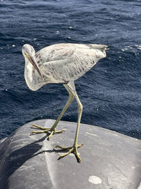 Hurghada Report Photo 2