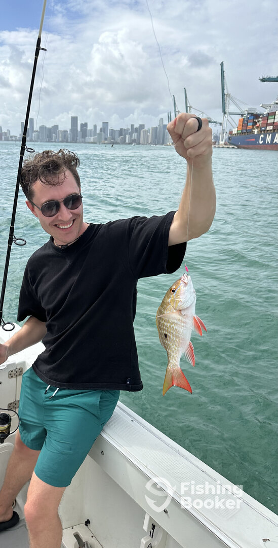 Miami Report Photo 0