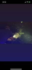 Tarpon Tango Season!