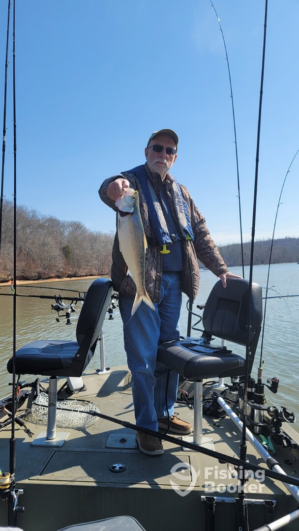 Harrison Report Photo 0