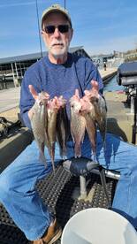 Harrison Report Photo 1