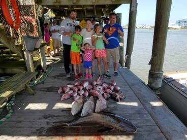 Limits of red snapper, a few bull reds and some mangrove snapper to join the nice cobia.
