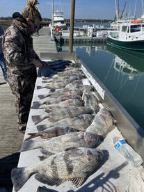 The bite is on fire! ?