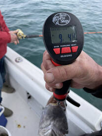 Mount Pleasant Report Photo 1