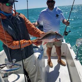 Great patch reef action late February