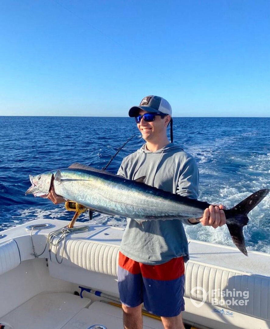 Puerto Aventuras Report Photo 0