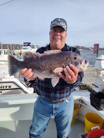 Big Blackfish & Seabass