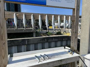 Destin Report Photo 1