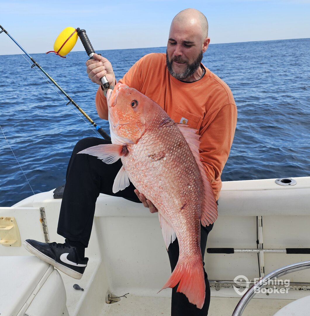 North Myrtle Beach Report Photo 0