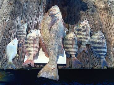 Foto Report New Smyrna Beach 1