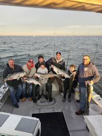 New York City Report Photo 1