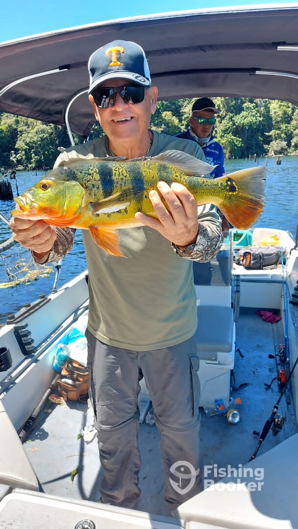 Gamboa Report Photo 0