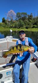 Gamboa Report Photo 2