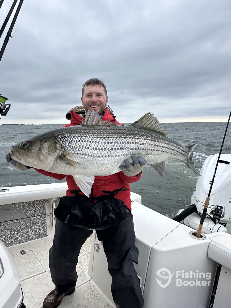 Chesapeake Beach Report Photo 0