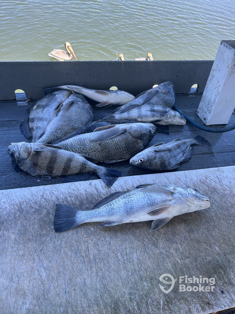 Rockport Report Photo 0