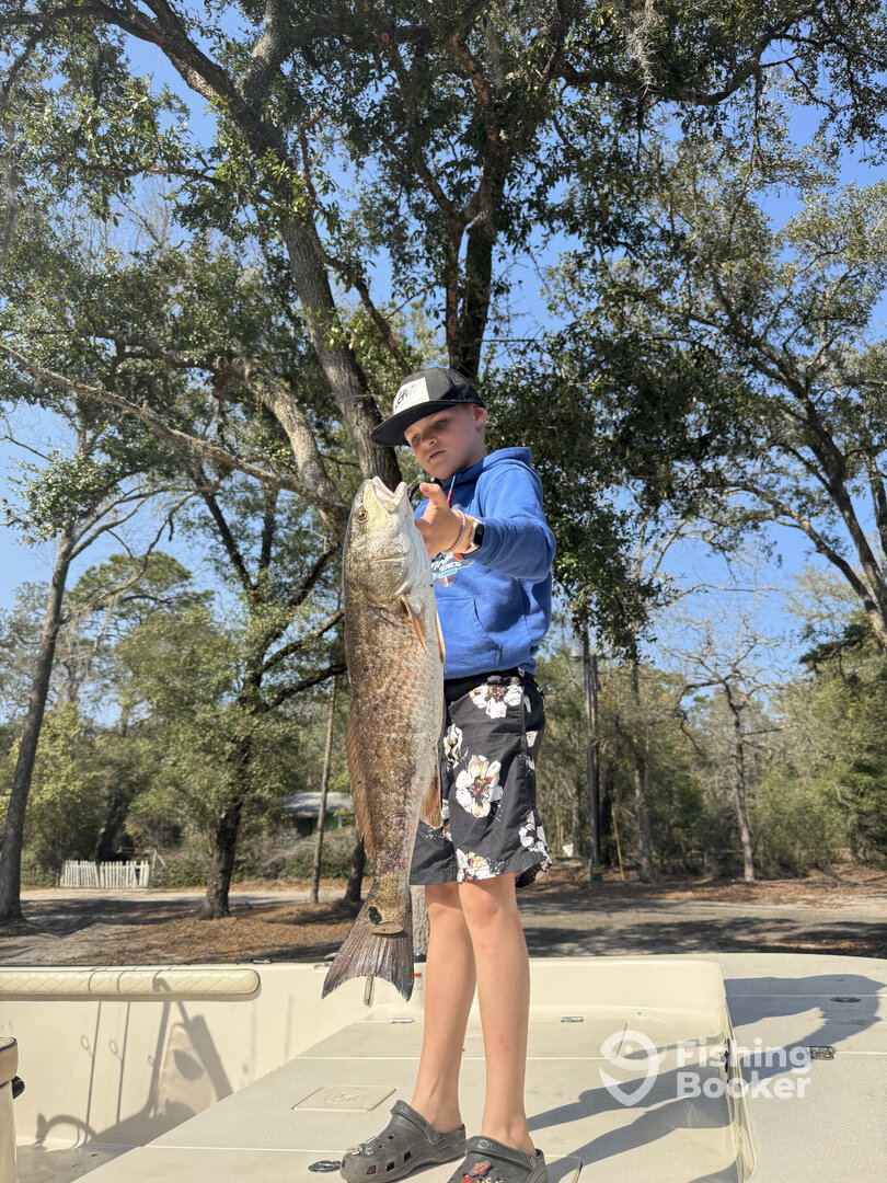 Carrabelle Report Photo 0