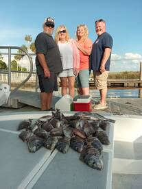 Spring Hill Report Photo 1