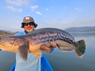 Wild Snakehead Fishing Thailand booking 