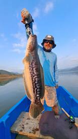 Bangkok Report Photo 2