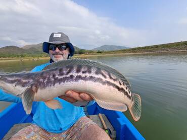 Bangkok Report Photo 1