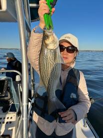 Willis Report Photo 2