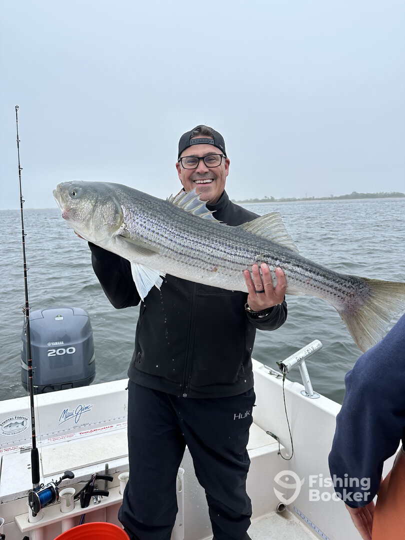 Highlands Report Photo 0