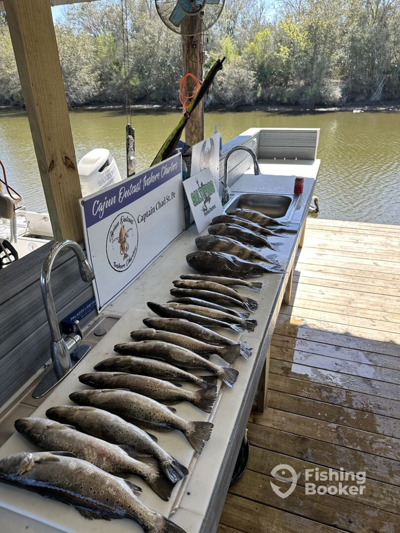 St. Bernard Report Photo 0