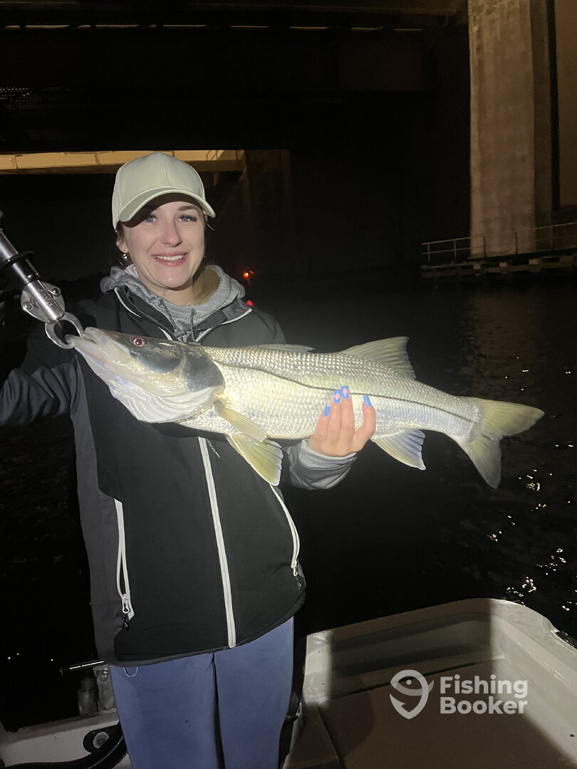 Jupiter Report Photo 0