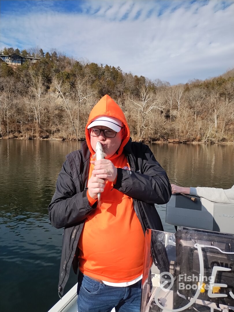 Branson Report Photo 0