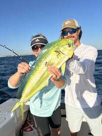 Mahi mahi 
