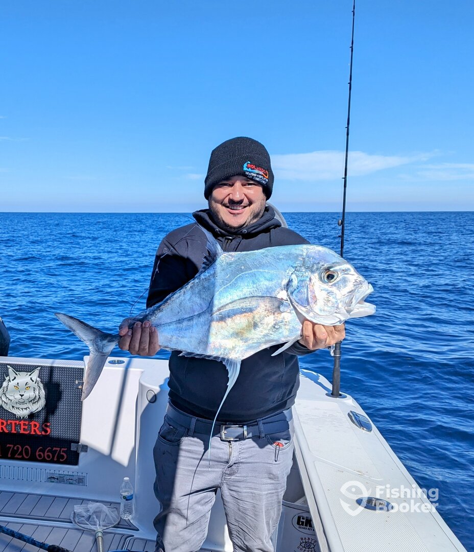 Palmetto Report Photo 0